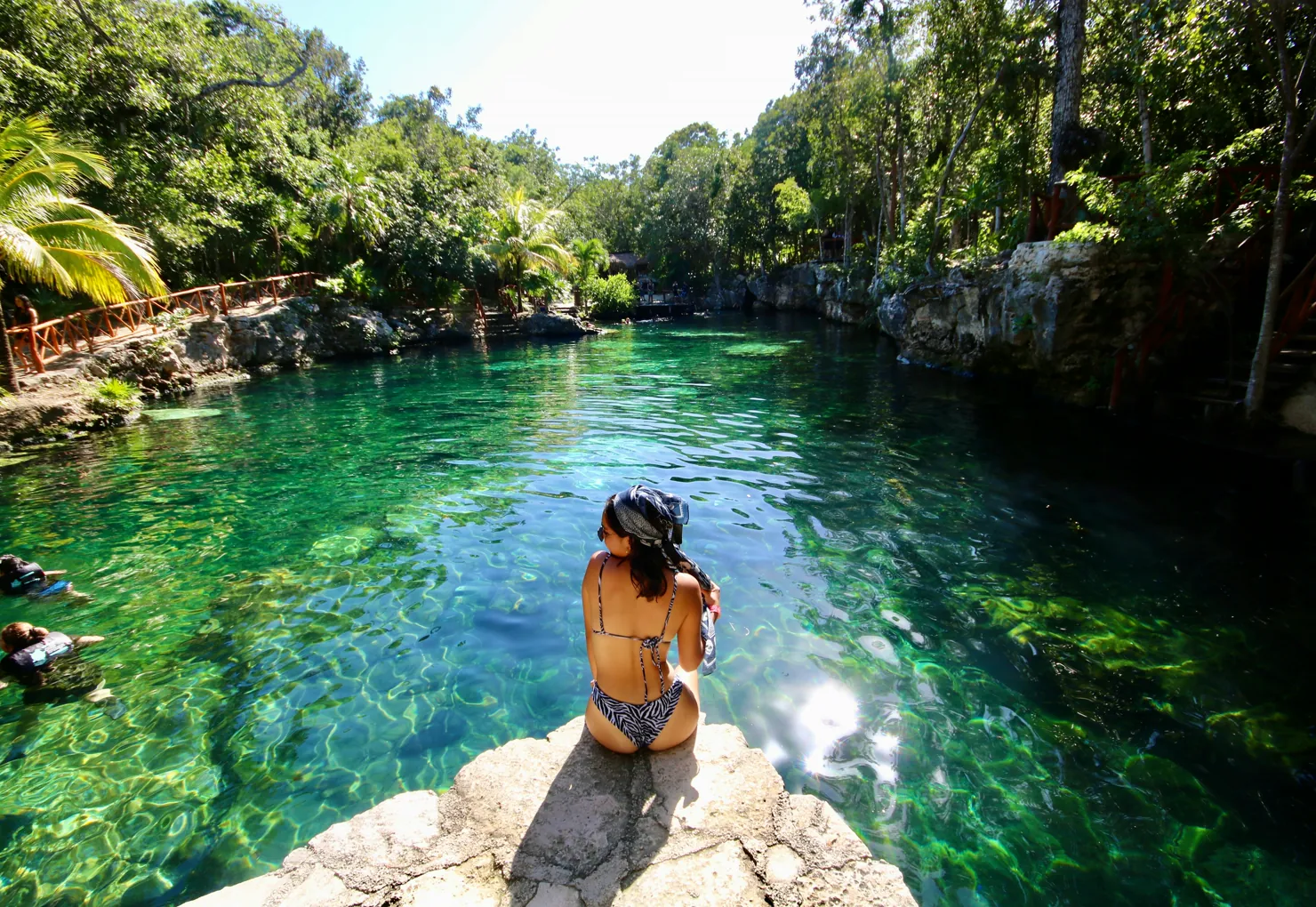 A hidden cenote, reached by invitation